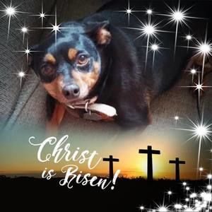 Meet your Posher, Trisha